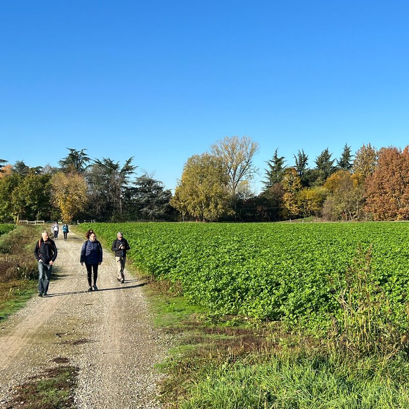 La campagna melzese