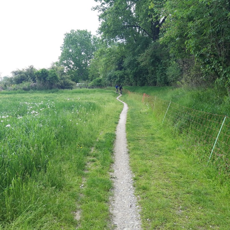 Parco Adda Sud