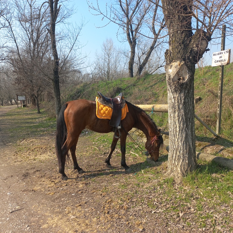 Parco Adda Sud